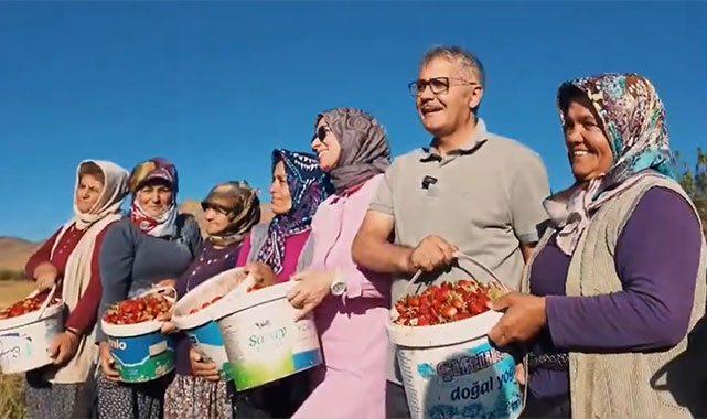 'Niğde, bin 860 dekar alanda yapılan üretimle çilek ihtiyacına önemli katkılar sunuyor''