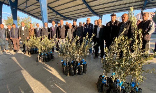 Osmaniye’de 103 üreticiye  10 Bin 500 zeytin fidanı  dağıtıldı