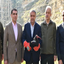 Vali Şıldak, kelaynak kuşlarını doğaya saldı