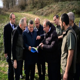 Sinop Valiliği, sahipsiz hayvanlar için harekete geçti