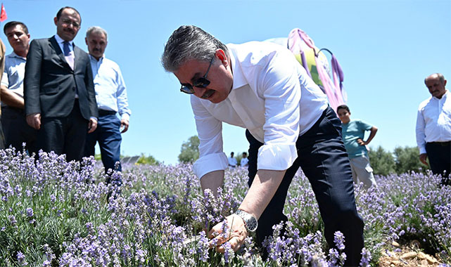 Vali Yılmaz, lavanta hasadı yaptı: Gerçekten kârlı bir yatırım