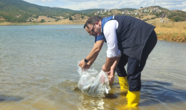 Saraydüzü’nde hem baraj hem ahır bereketlendi