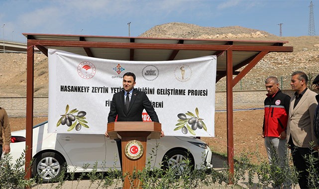 Hasankeyf'te binlerce zeytin fidanı toprakla buluştu!