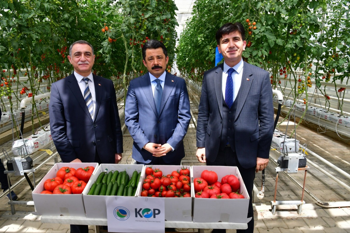 Türkiye'nin ilk ve tek GES destekli hidroserası tanıtıldı;
