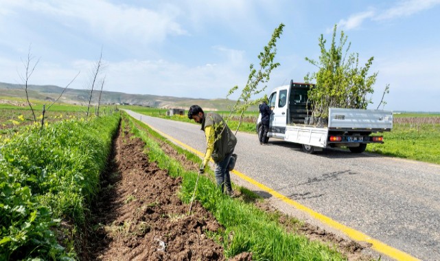 Batman’ın köy yolları "Yeşil Kuşak" ile güzelleşiyor