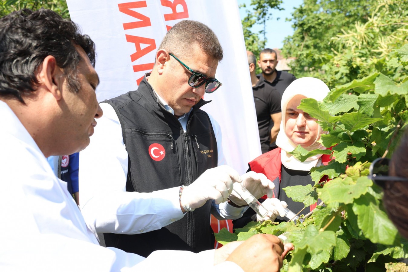 Düzce'de 20 bin adet Samurai Arısı, doğaya salındı;