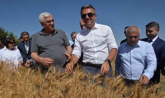 Erzurum'da hasat bayramı