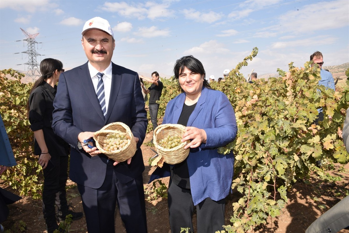Bağ bozumu yaptılar;