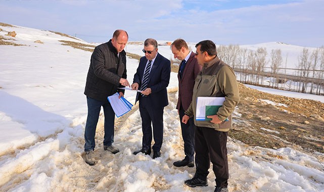Bayburt'ta sokak hayvanları için çalışmalar devam ediyor