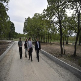 Musabeyli Korusu örnek mesire alanı olacak