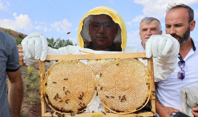 Çiçek balının başkentinde hasat başladı