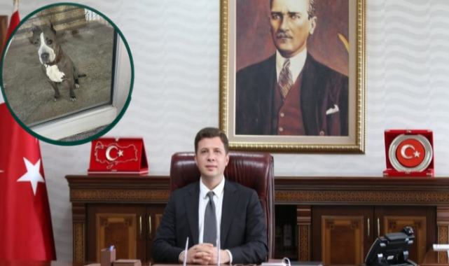Palandöken Kaymakamı olayında diğer taraf hakkında soruşturma