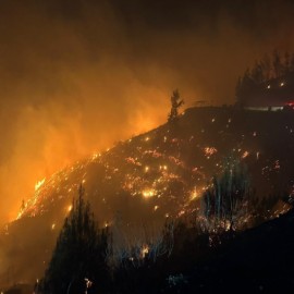 Muğla'da 4 ayrı noktada orman yangını çıktı