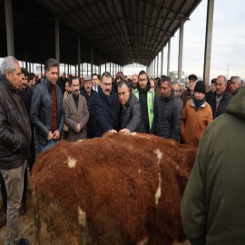 "Hayvancılıkta çok ilerideyiz"