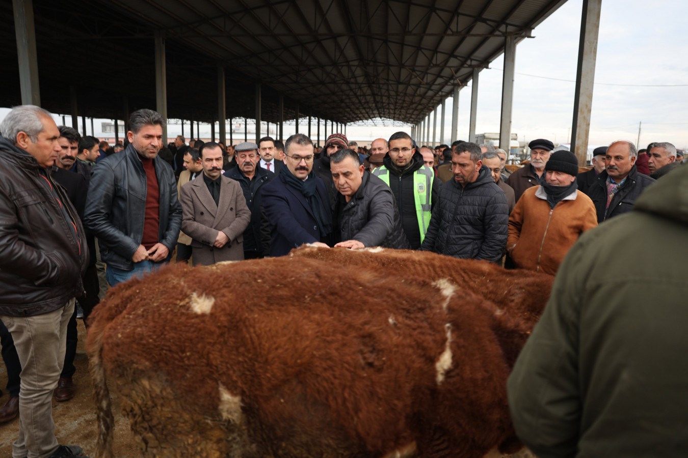 "Hayvancılıkta çok ilerideyiz"