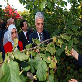 “Düzce’de bu sene bereket yaşıyoruz”