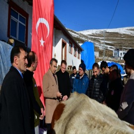 "Buzağılar Ölmesin İşletmelerimiz Şenlensin"