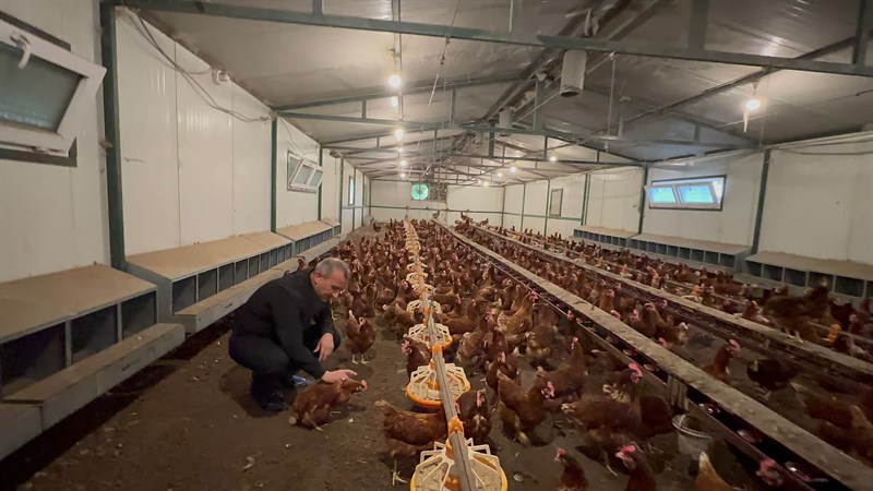 “Yumurta tavukçuluğu daha da gelişecek”