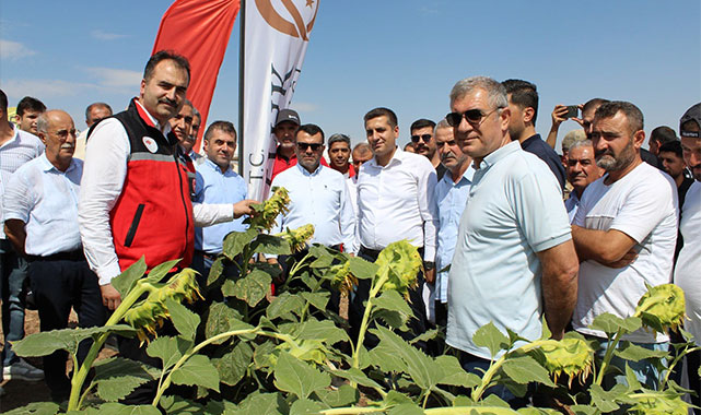 Kozluk'ta ikinci ürün ayçiçeği için tarla günü düzenlendi;