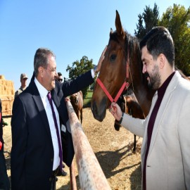 "Suruç'ta 4 bin 500 yarış atı yetiştiriliyor"