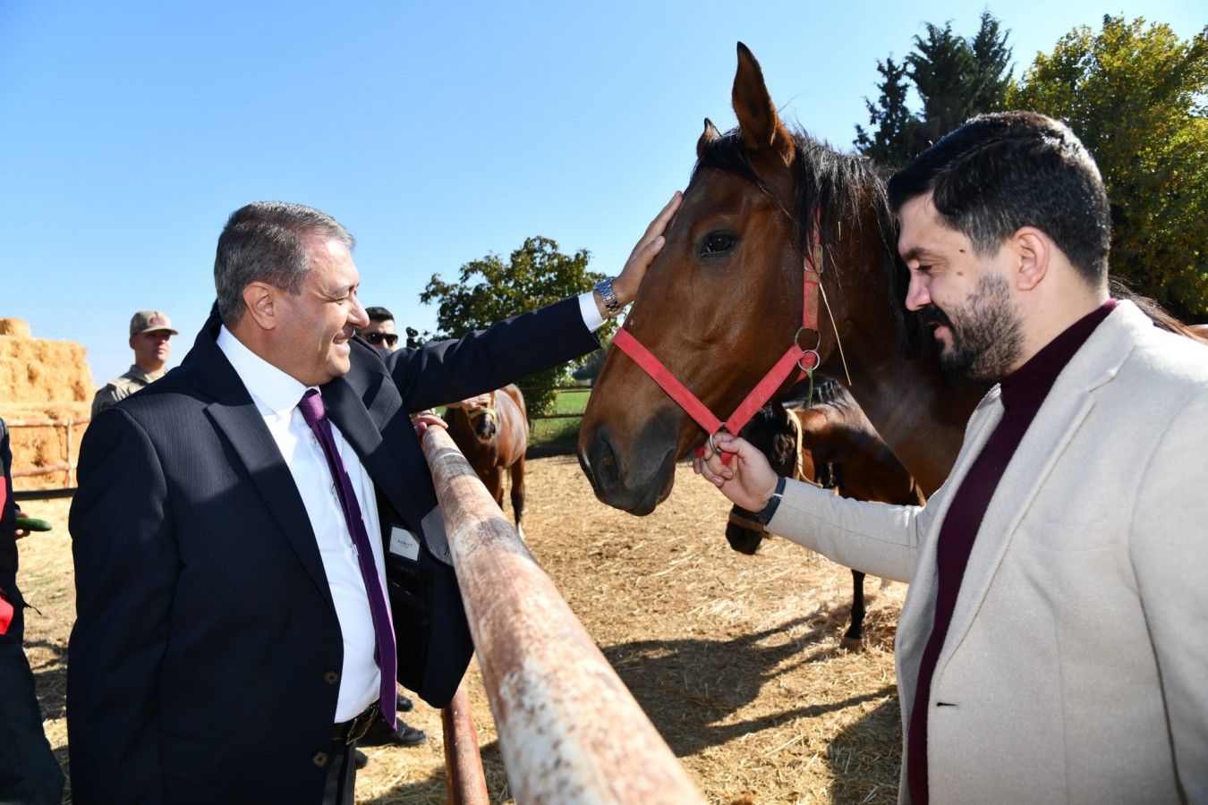 "Suruç'ta 4 bin 500 yarış atı yetiştiriliyor";