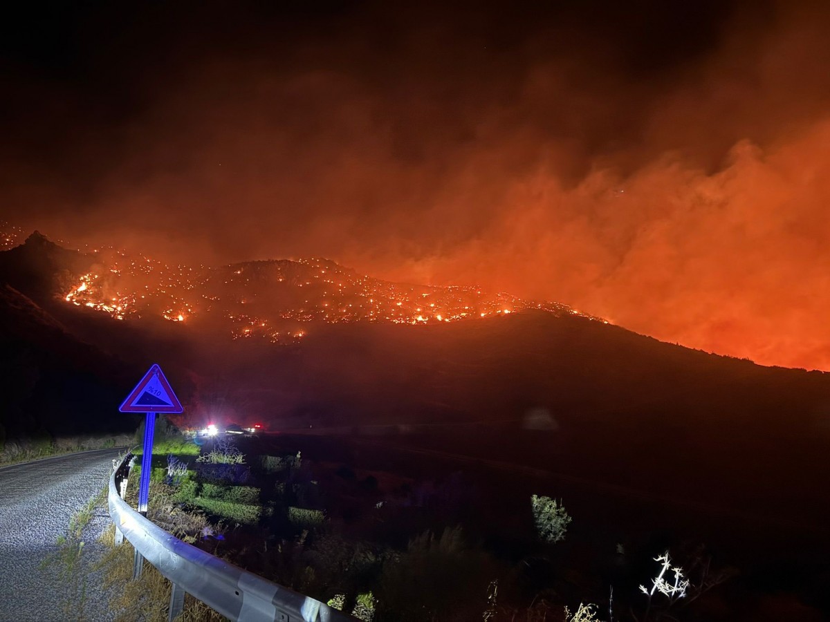 Muğla alevlerle mücadele ediyor: 1 gecede 8 yangın çıktı;