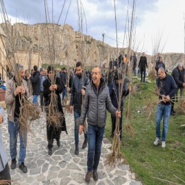 Fidanlar Van’ın bereketli topraklarıyla buluşuyor