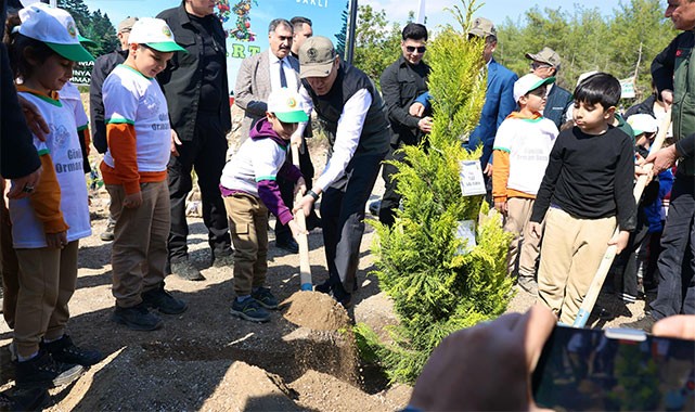 ''Dünyanın lezzeti ormanda saklıdır''