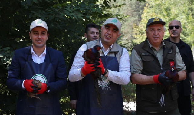 Sülünleri doğa ile buluşturdu
