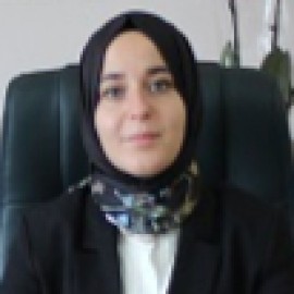 Didem Dinç Özay