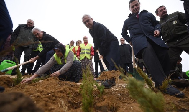 40 bin fidanla Türkiye Haritası oluşturulacak