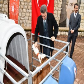Hayvan yetiştiricilerine ‘buzağı kulübesi’ desteği