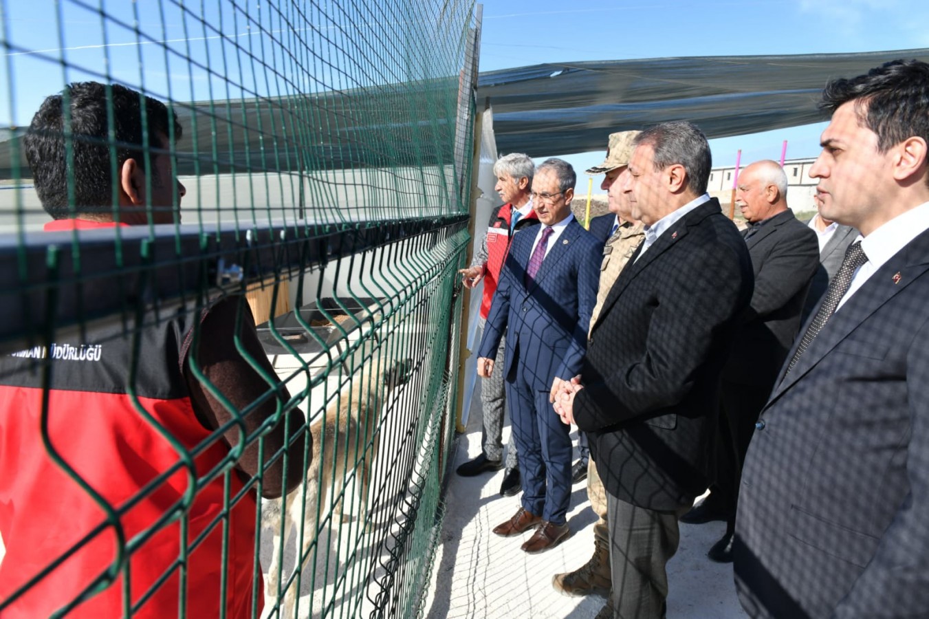 Sokak hayvanları için 10 belediyeye arazi tahsisi yapıldı