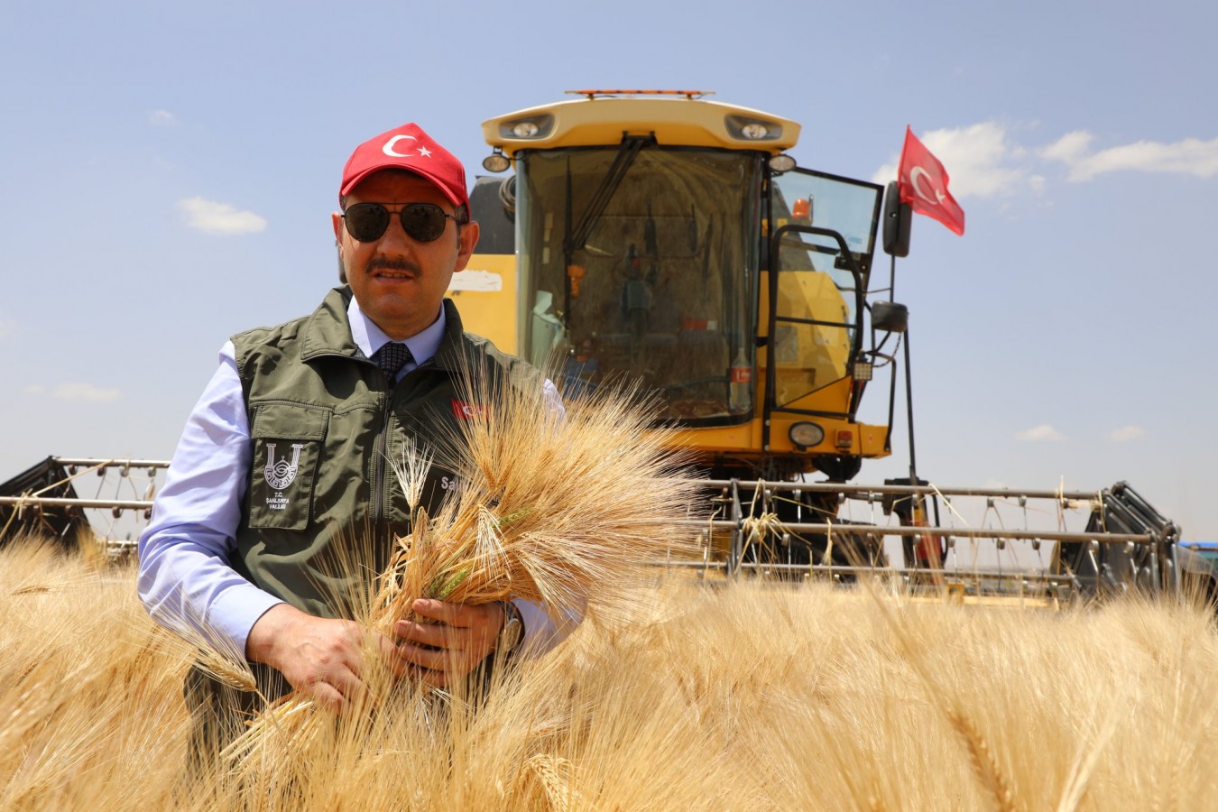 Arpa hasadı zamanı!