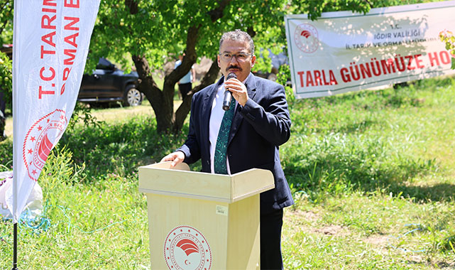 Iğdır'da kayısı hasadı tüm hızıyla devam ediyor: ''Her zaman alın teriyle toprağını işleyen üreticilerimiz yanındayız'';
