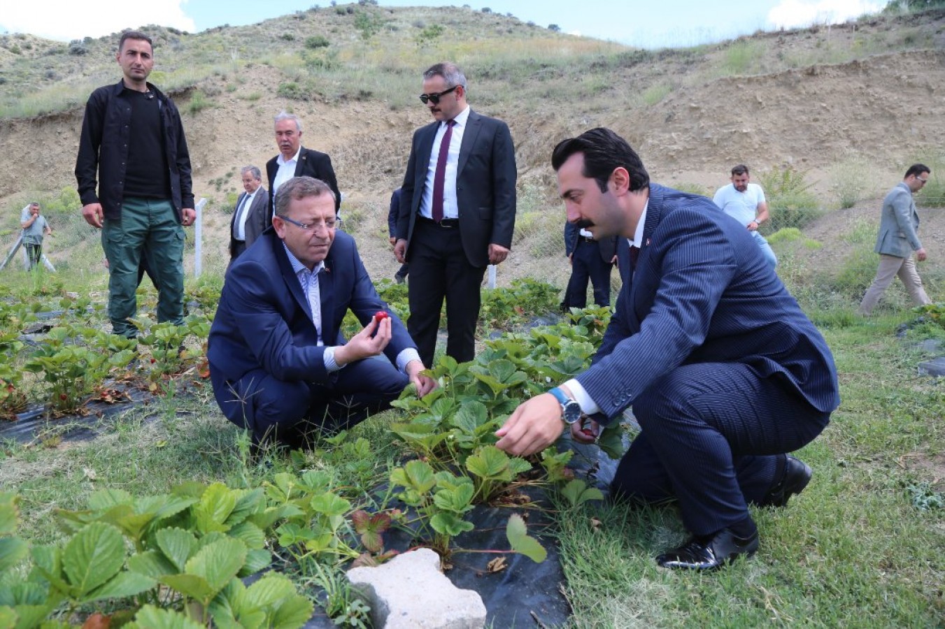 Şefaatli’yi kaz ve çilek merkezine dönüştüreceğiz;