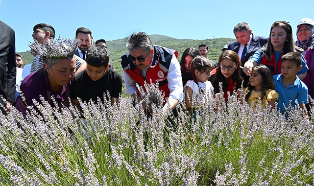 Vali Yılmaz, çocuklarla lavanta hasadında: ''Bu güzel çocuklarımız gülerse, dünya güler, hepimiz güleriz'';