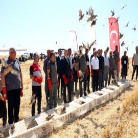 Adıyaman’da bin keklik doğaya salındı, Vali Küçük avcıları uyardı: