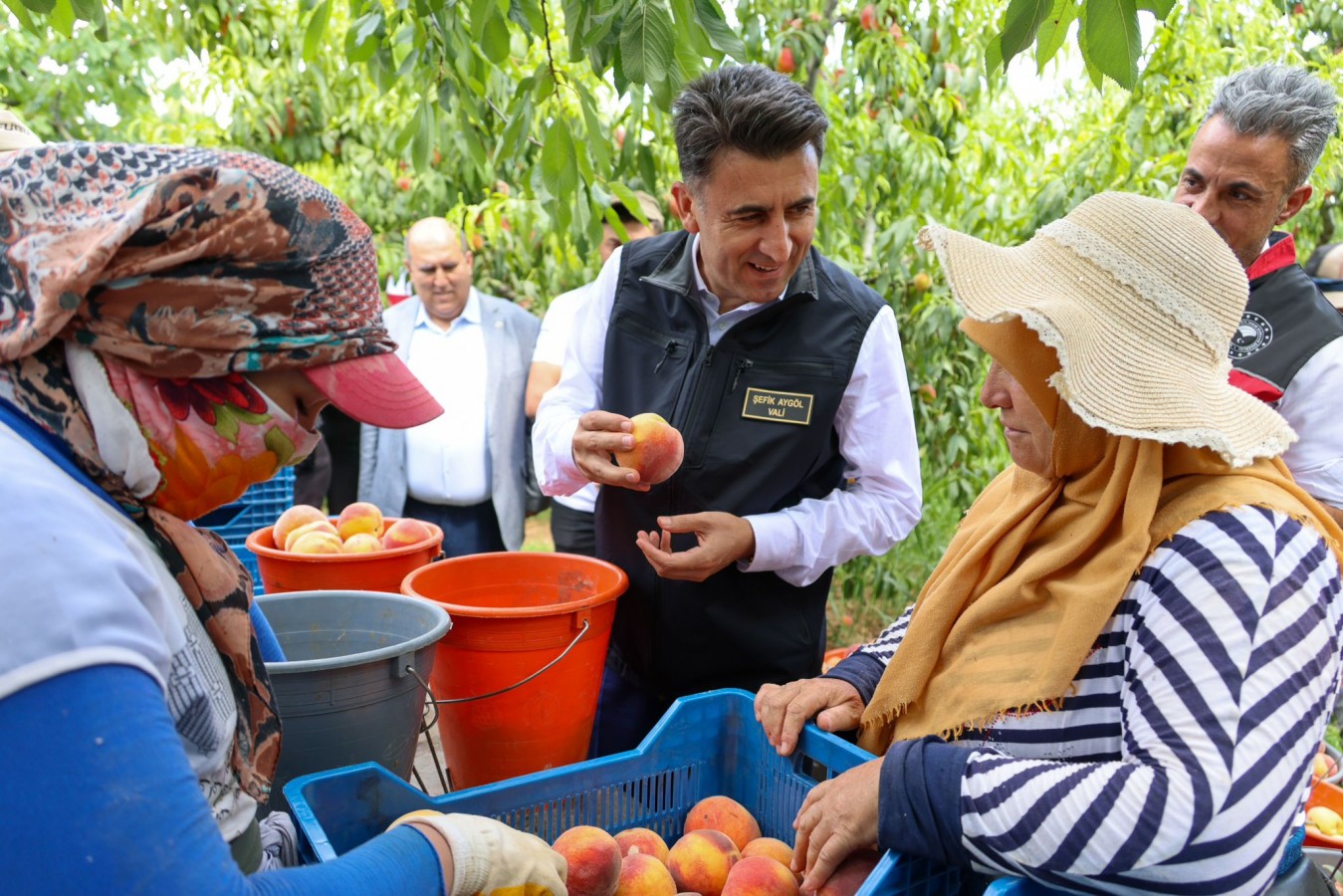 Şeftalinin en güzeli Bilecik'te