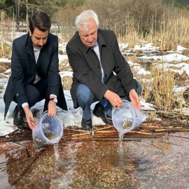 Balık yavruları Abant Gölü ile buluştu