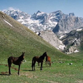 Niğde'nin güzellikleri kayıt altına alınacak