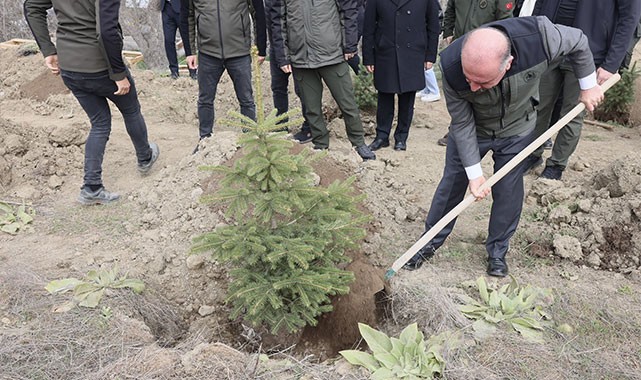 ''Ormanlarımız, ülkemizin ziyneti ve süsüdür''