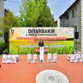 93 çiftçiye endemik çeltik tohumu dağıtıldı