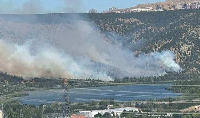 Eymir Gölü'nde yangın başladı, Vali Şahin sahaya indi: ''167 personelimiz canla başla çalışıyor''