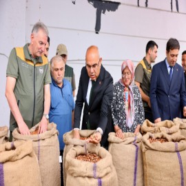 Giresun’da 2026’nın ilk fındığı TMO’ya teslim edildi