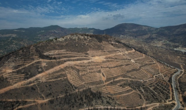 İzmir'in dağları yeniden yeşillenecek