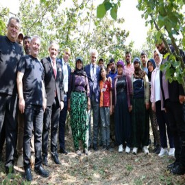 Vali Makas fındık bahçesinde: "Alın teri dökerek çalışan kardeşlerimizin yanındayız"