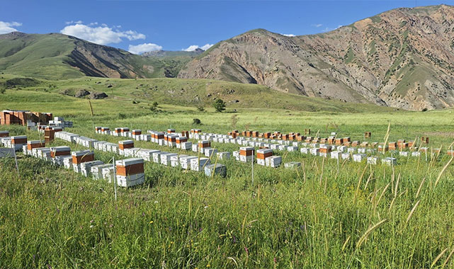TKDK'den Hakkari'ye dev destek: 14 Proje için 38 milyonluk hibe!;