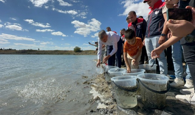 Edirne'de 10 milyon yavru sazan üretimi yapıldı