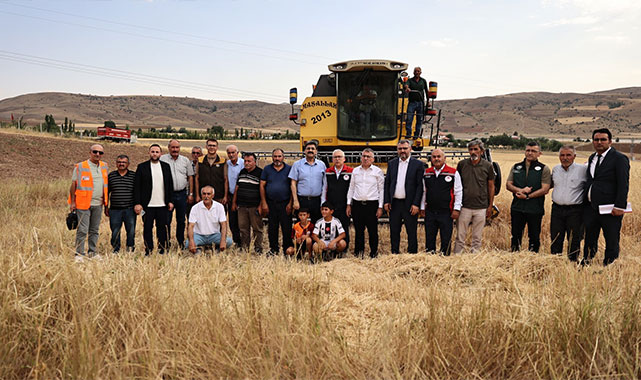 Sivas'ta buğday hasadı başladı: ''Rekolte oldukça iyi gözüküyor'';